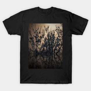 Sepia tree branches sunset in rural German village with red led light wall background and led lights T-Shirt